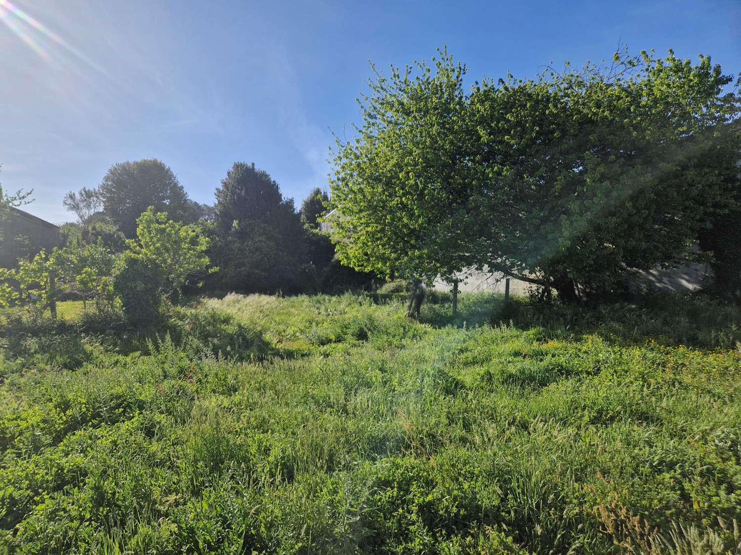 FINCA SEGREGABLE ZONA OS ANXELES, BRION