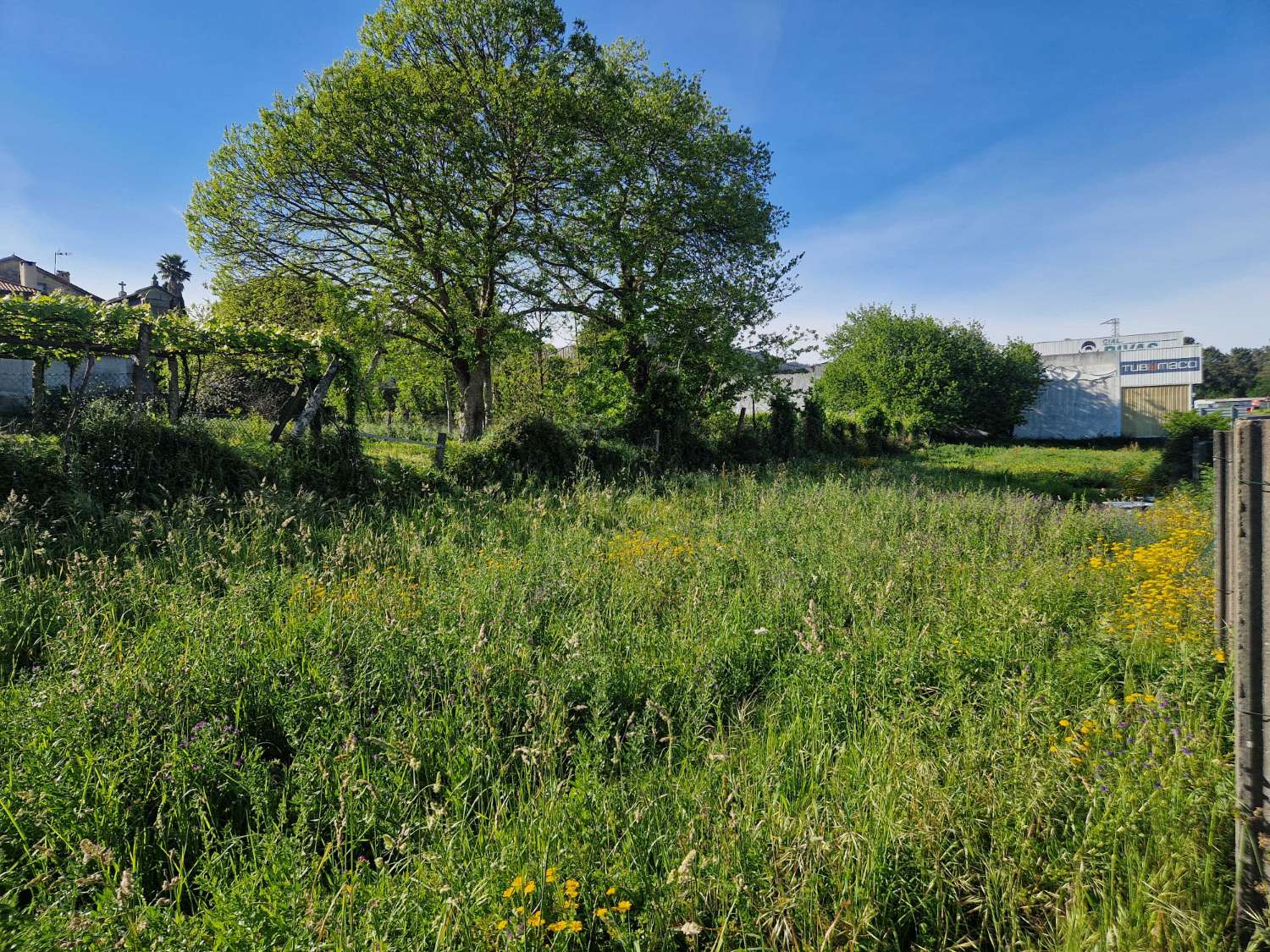 FINCA SEGREGABLE ZONA OS ANXELES, BRION