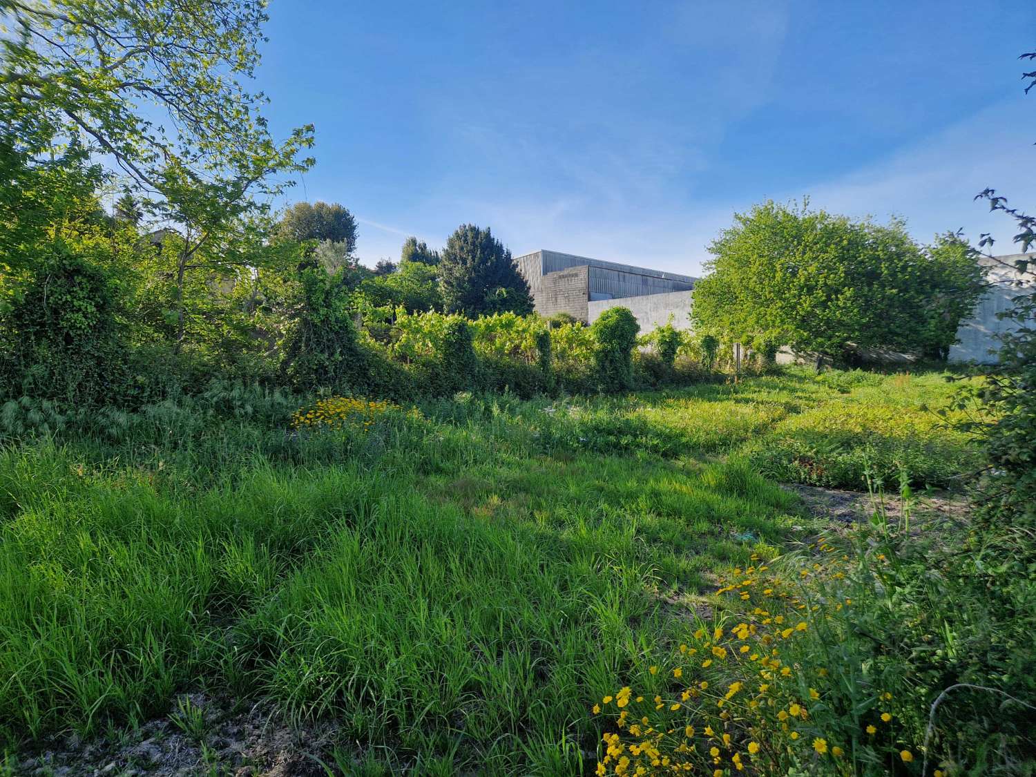 FINCA SEGREGABLE ZONA OS ANXELES, BRION