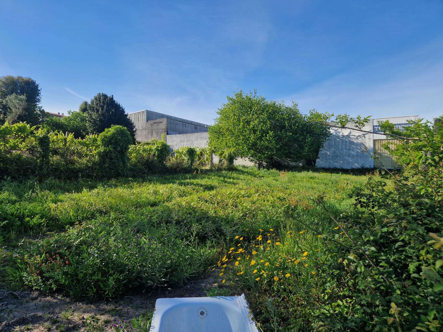 FINCA SEGREGABLE ZONA OS ANXELES, BRION