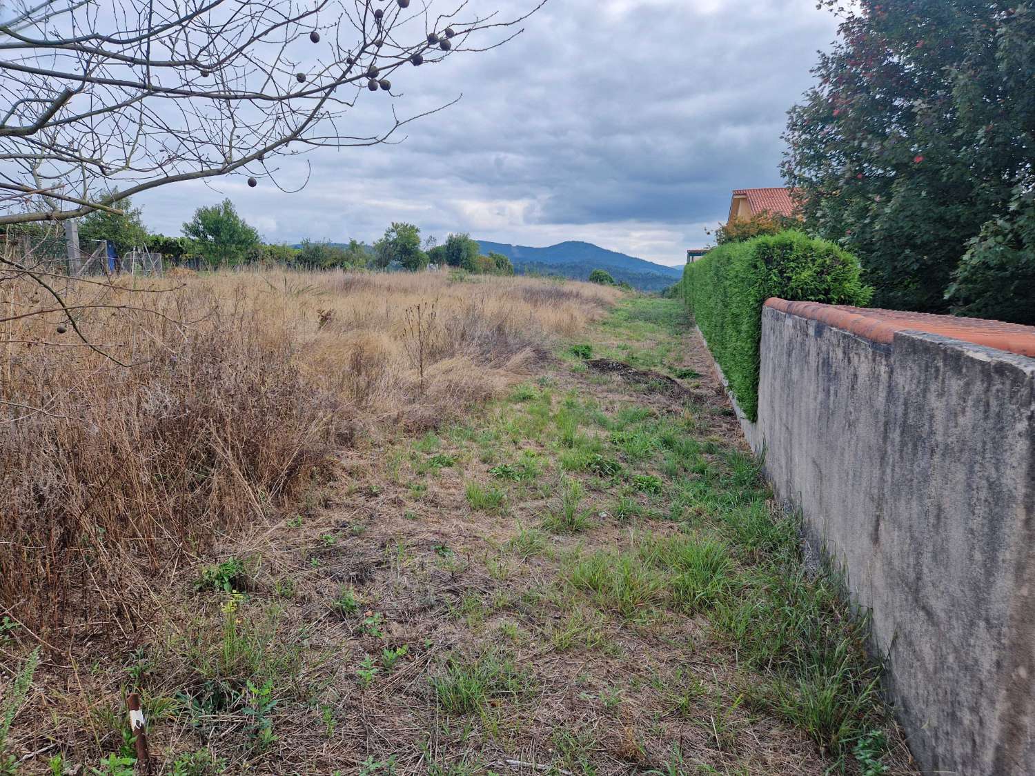 Terrain-à-bâtir en vente à Ames
