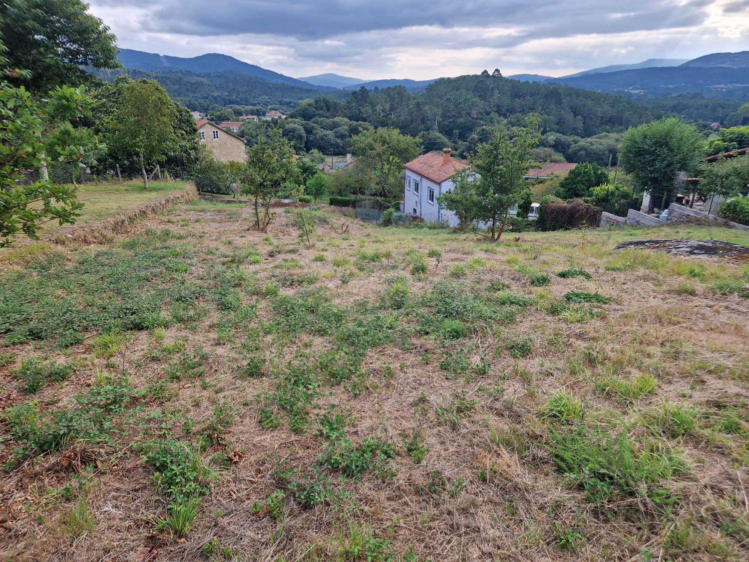 Terrain-à-bâtir en vente à Ames