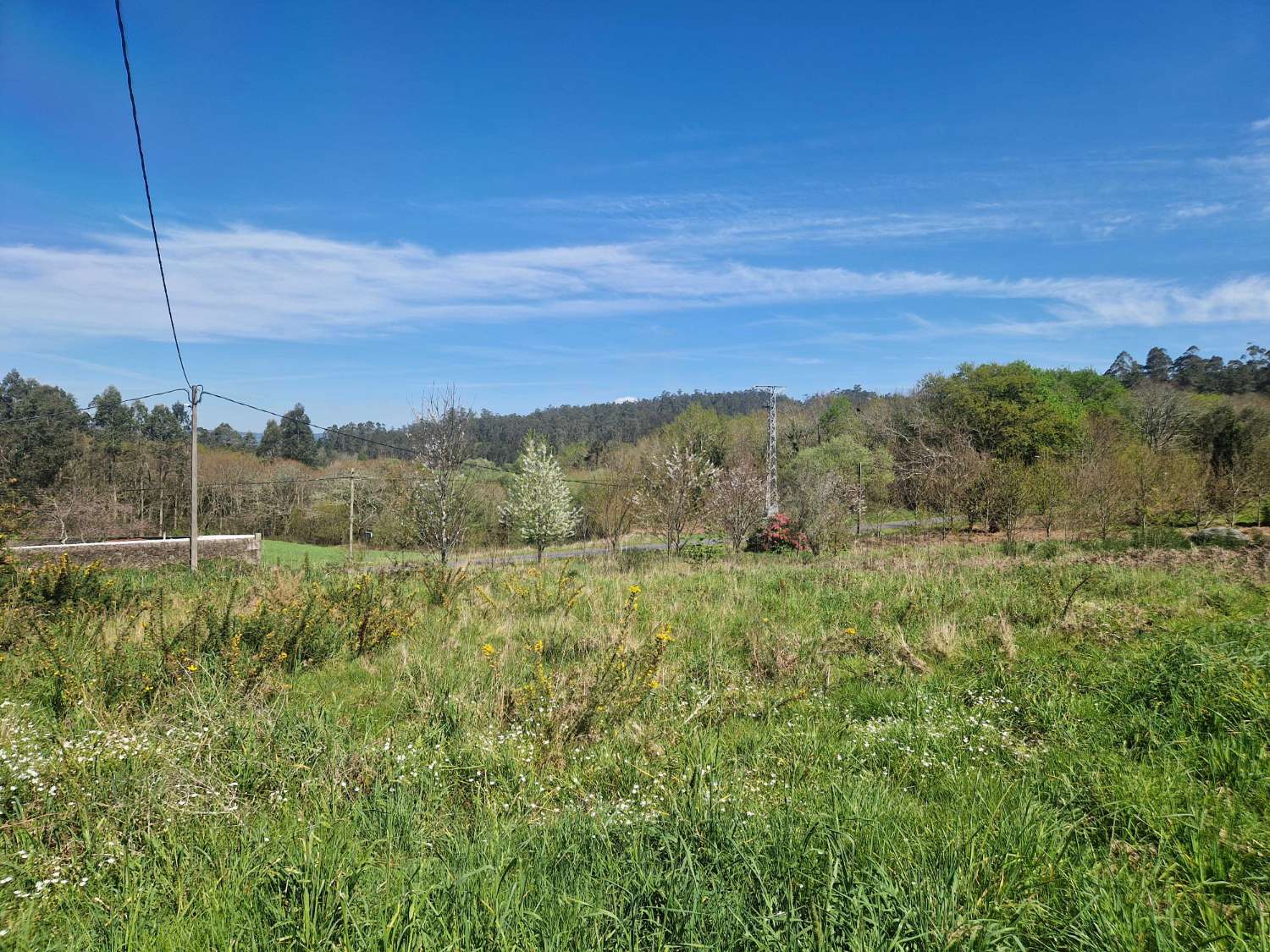 Building area for sale in Ames