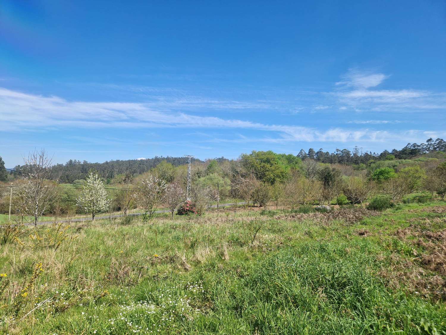 Building area for sale in Ames