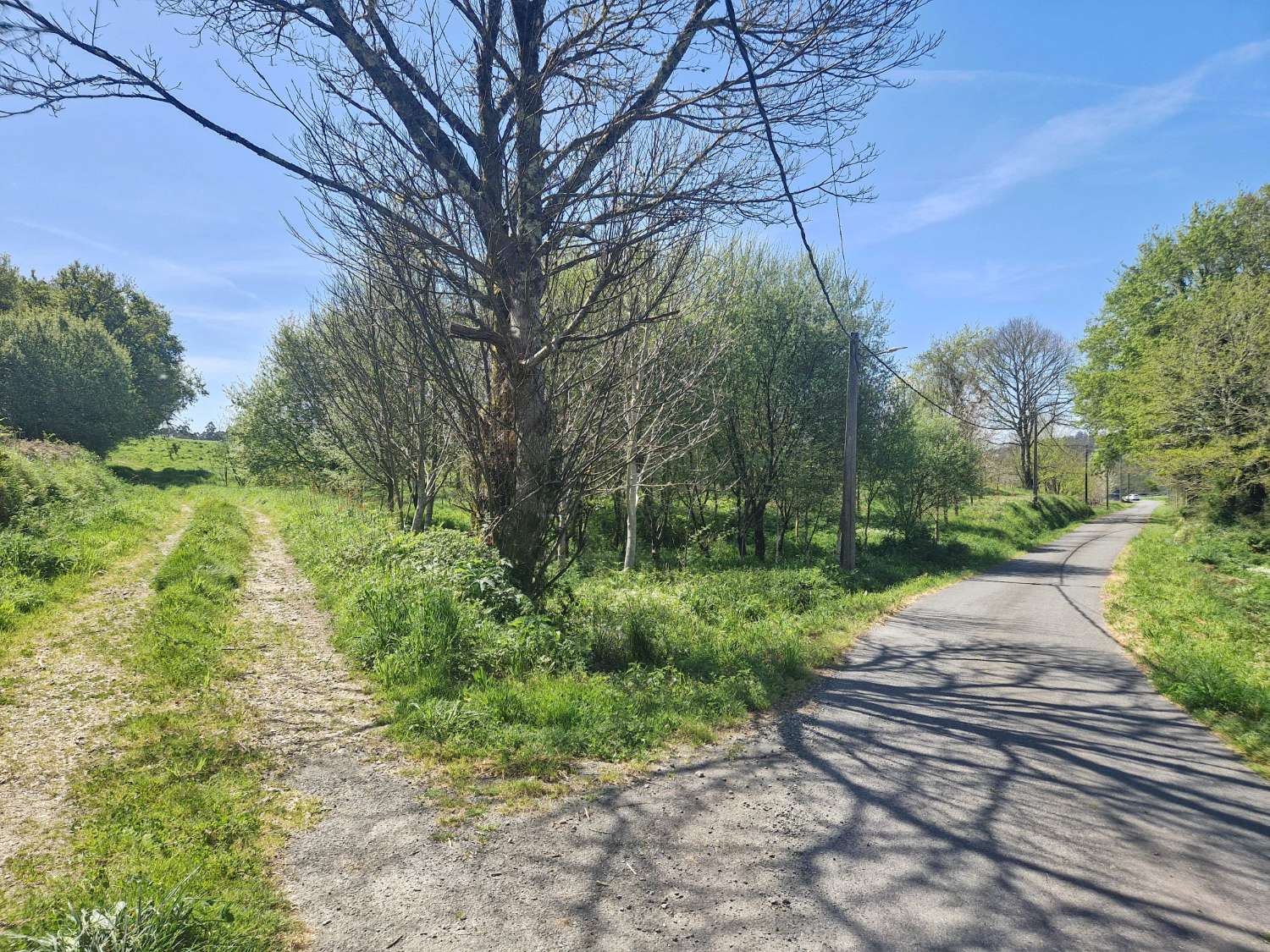 Building area for sale in Ames