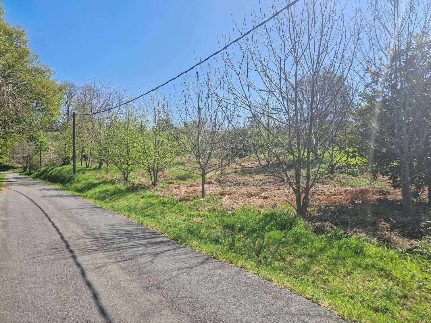 Building area for sale in Ames