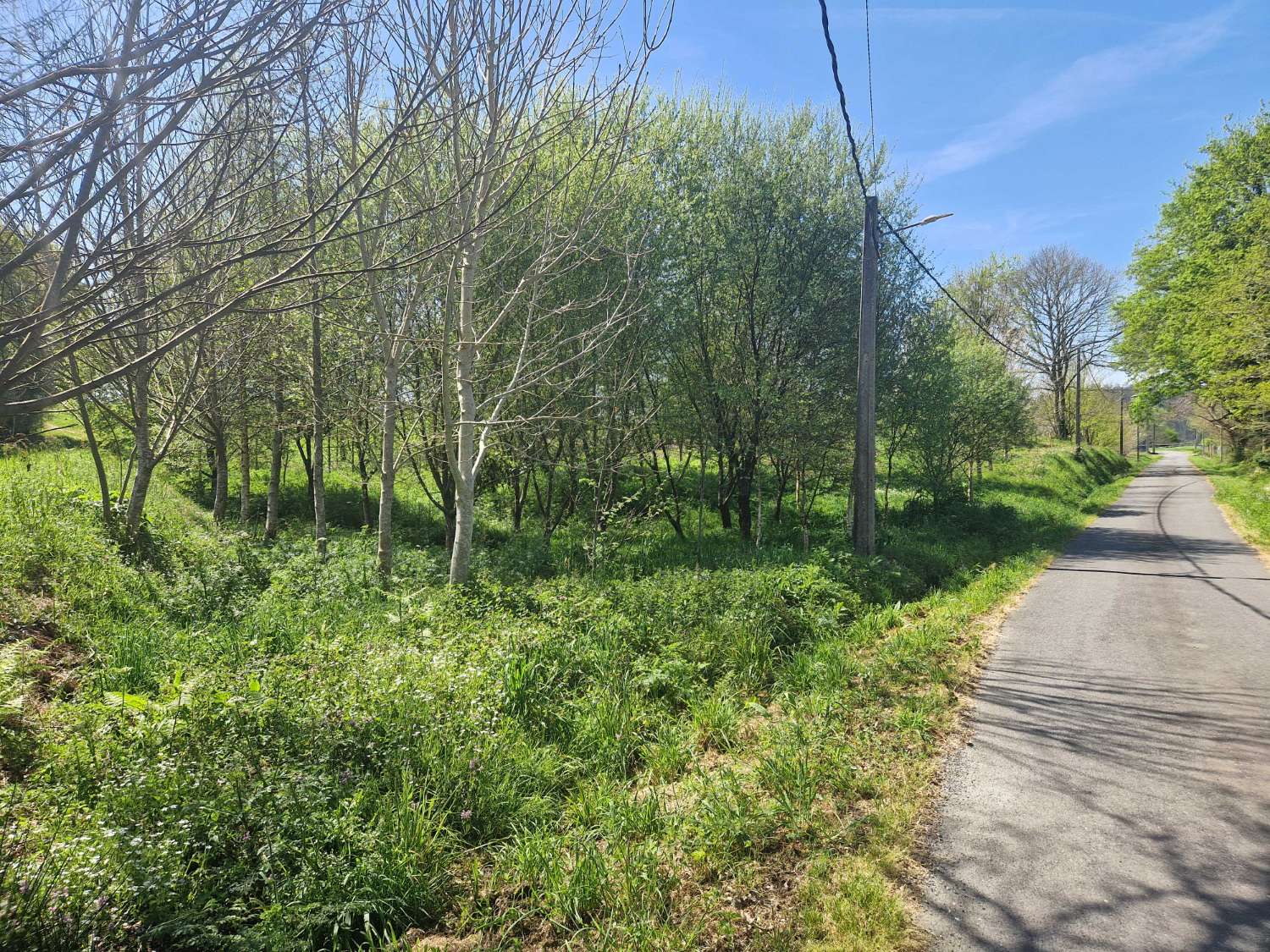 Building area for sale in Ames