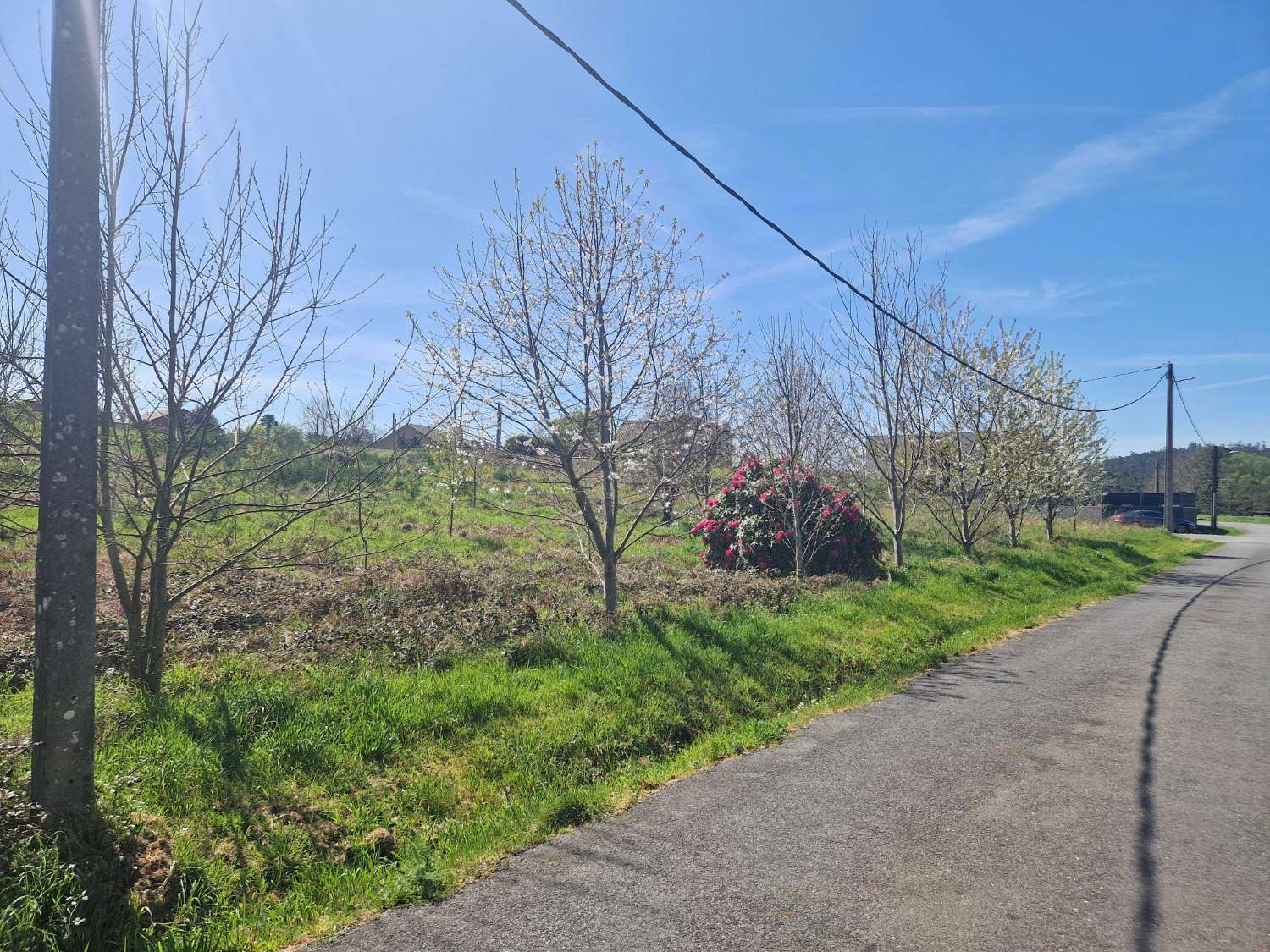 Building area for sale in Ames
