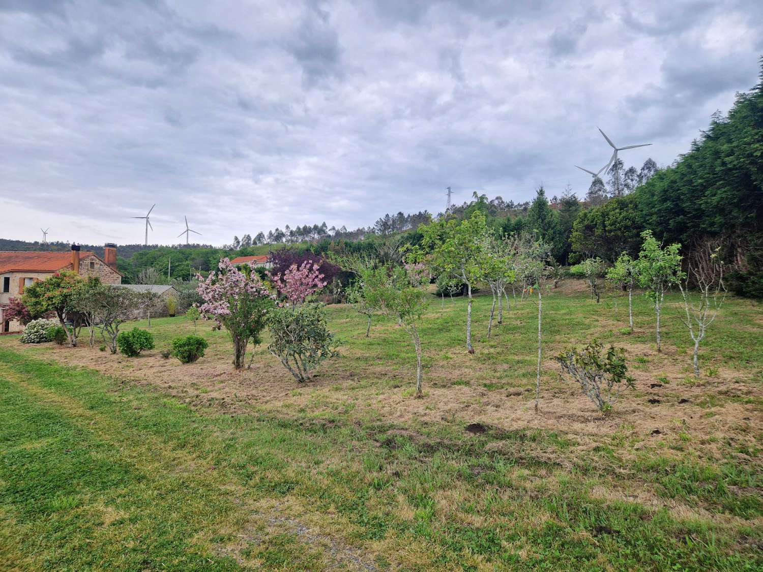 Hus til salg i Negreira
