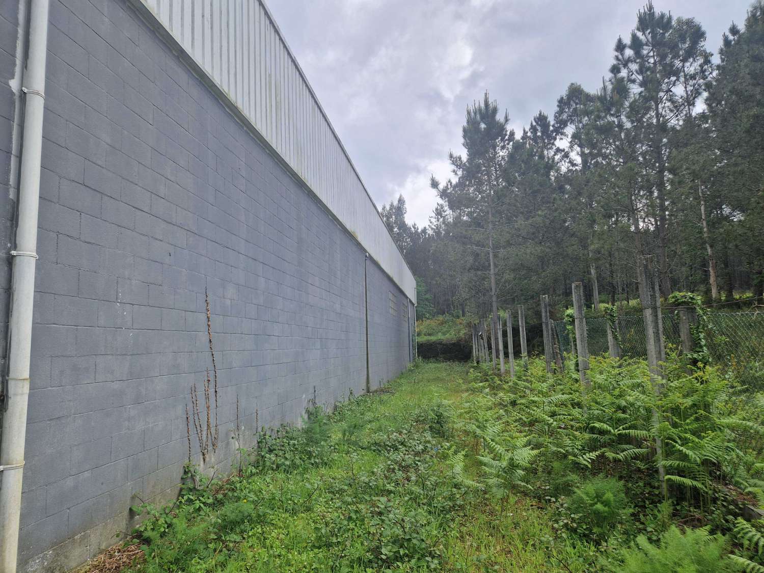 Industriel til salg i Teo