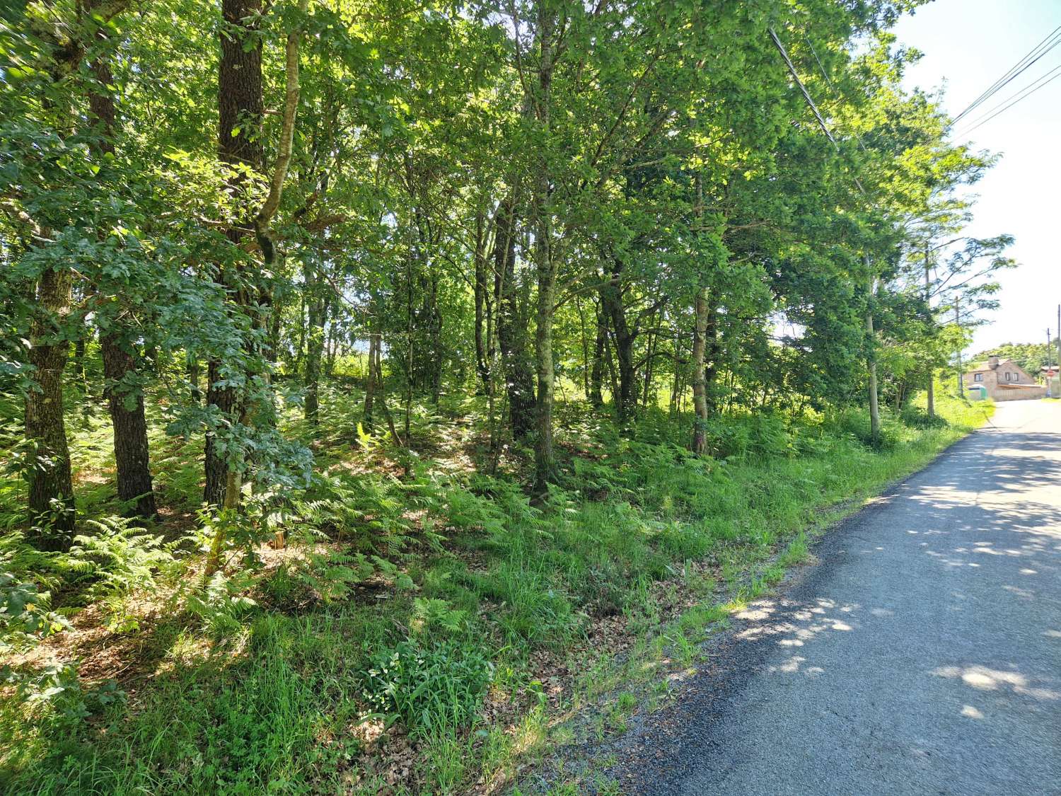 Building area for sale in Ames
