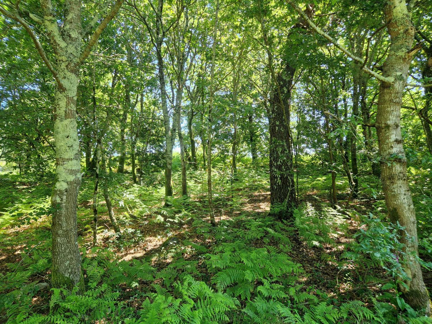 Building area for sale in Ames