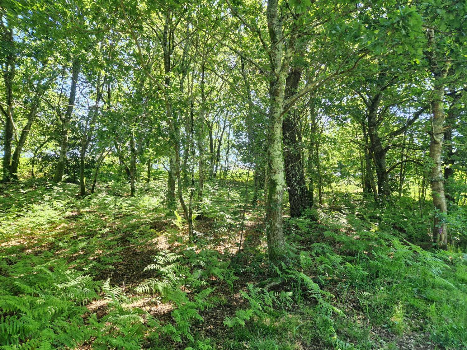 Building area for sale in Ames