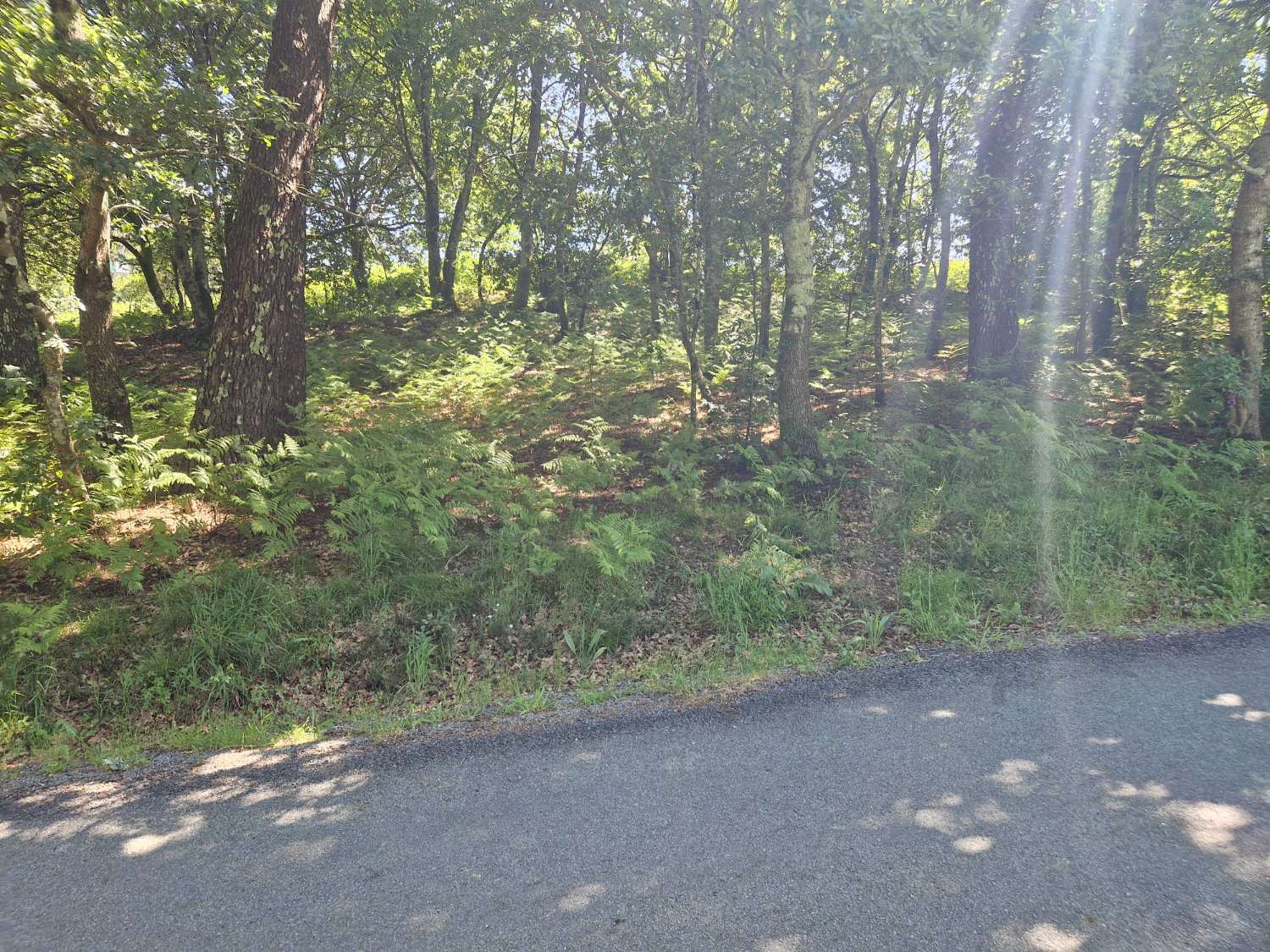 Building area for sale in Ames