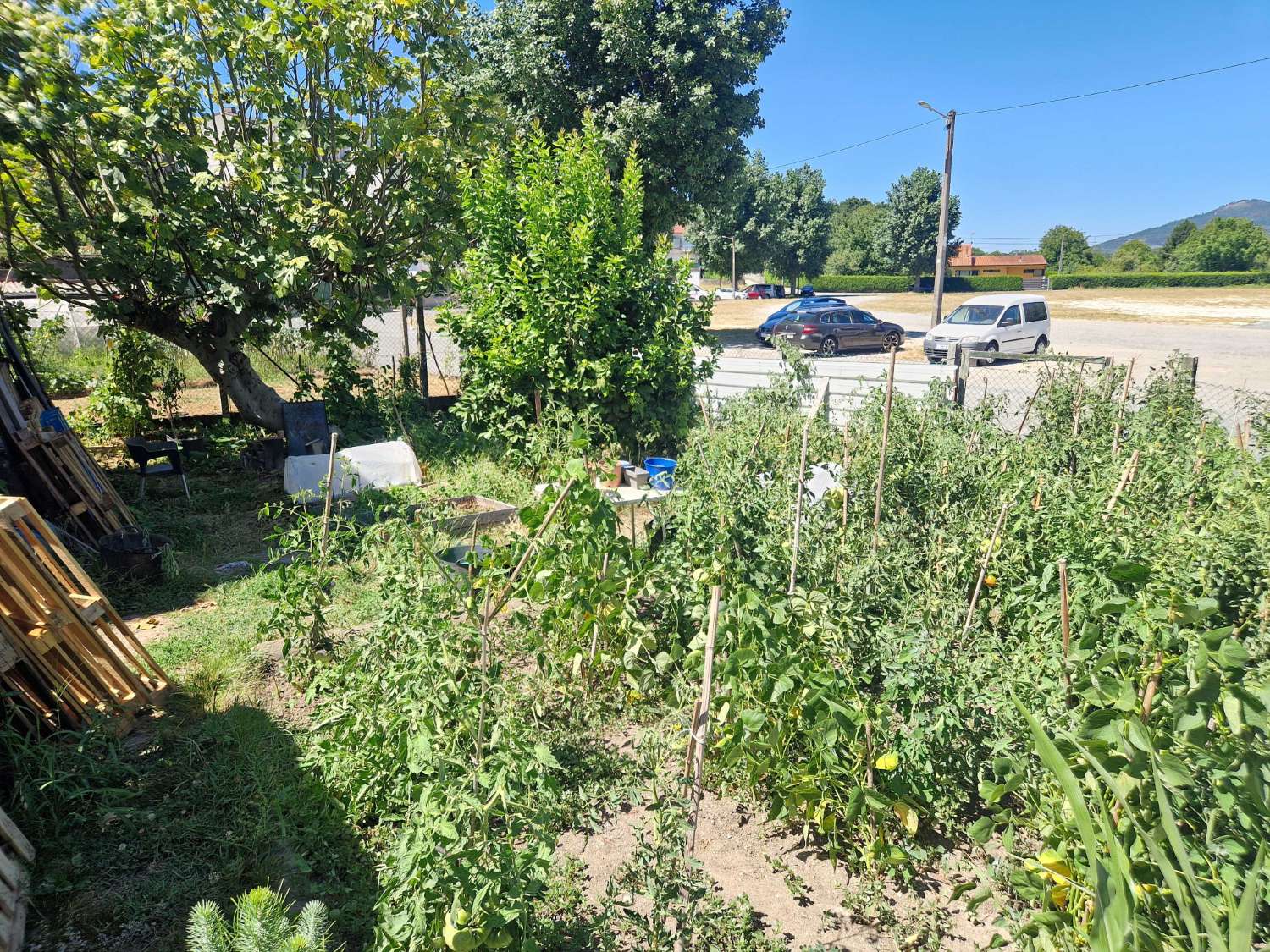 屋 出售 在 Padrón