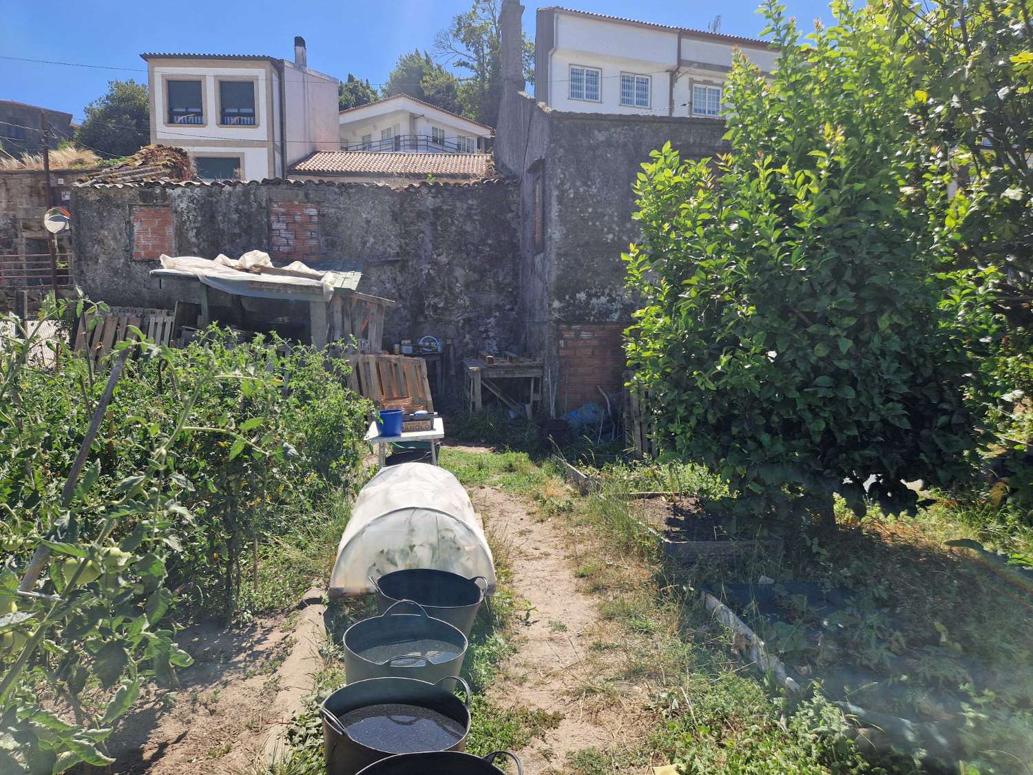 屋 出售 在 Padrón