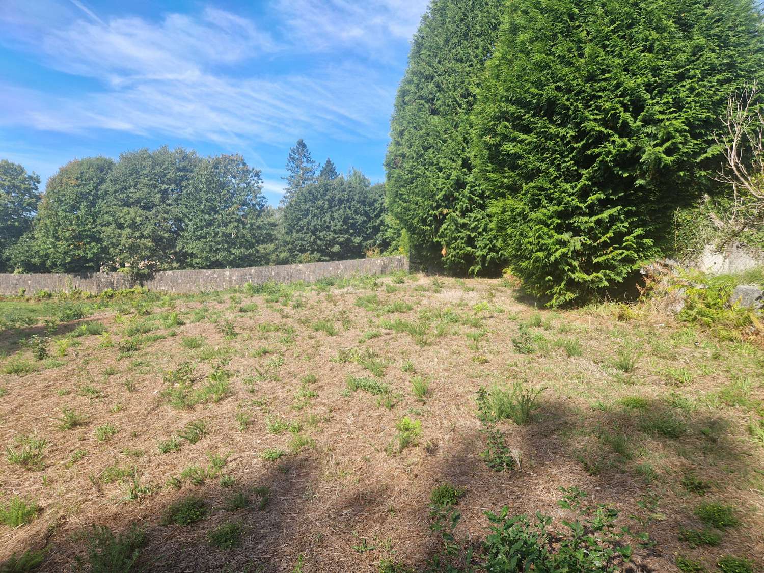 FINCA AMPLIA Y SEGREGABLE EN OS ANXELES, BRION