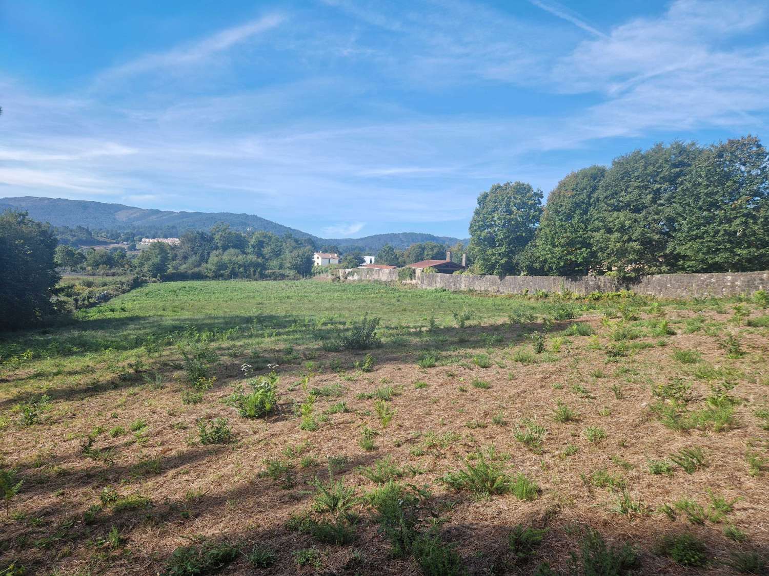 FINCA AMPLIA Y SEGREGABLE EN OS ANXELES, BRION