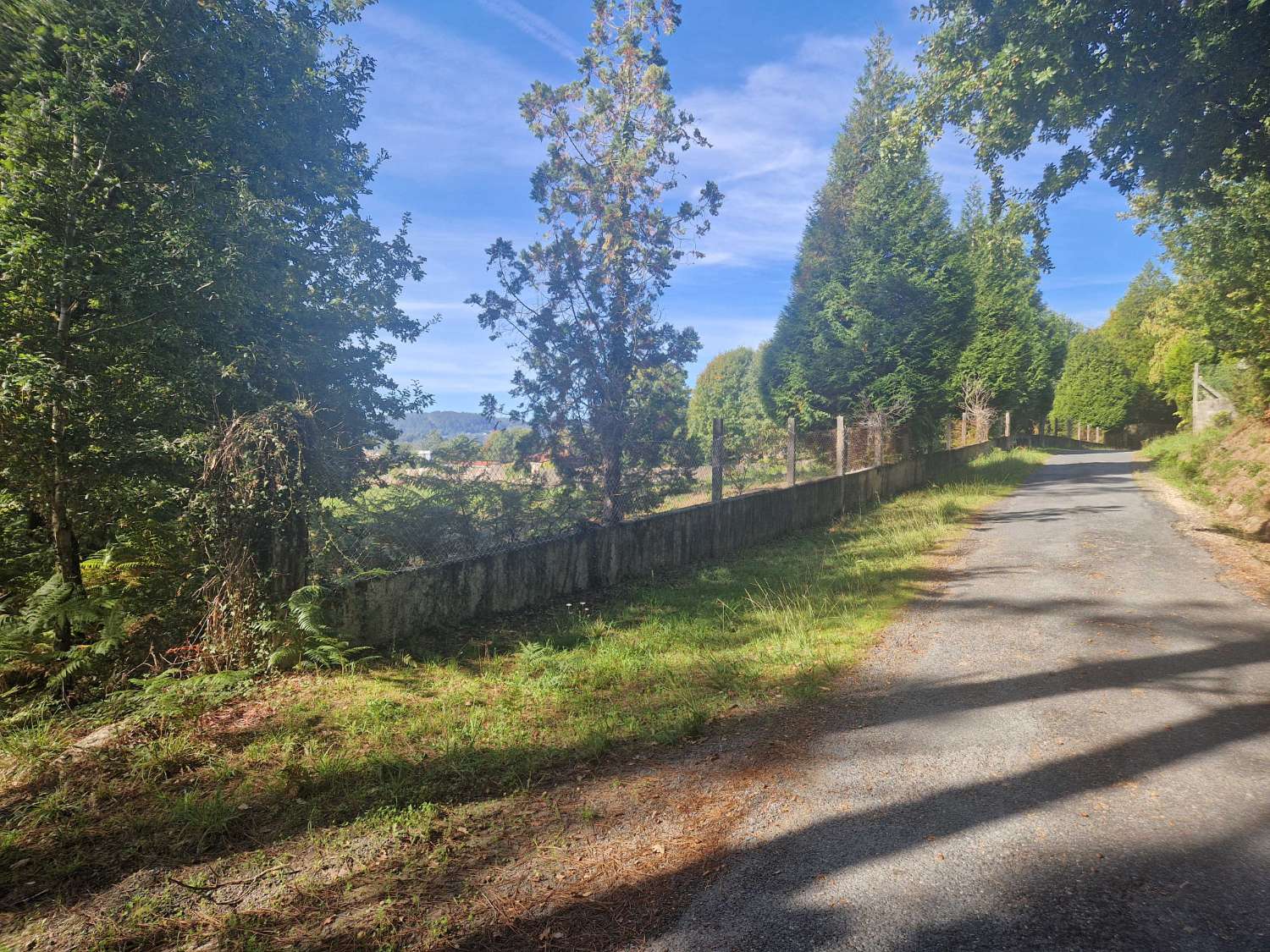 FINCA AMPLIA Y SEGREGABLE EN OS ANXELES, BRION