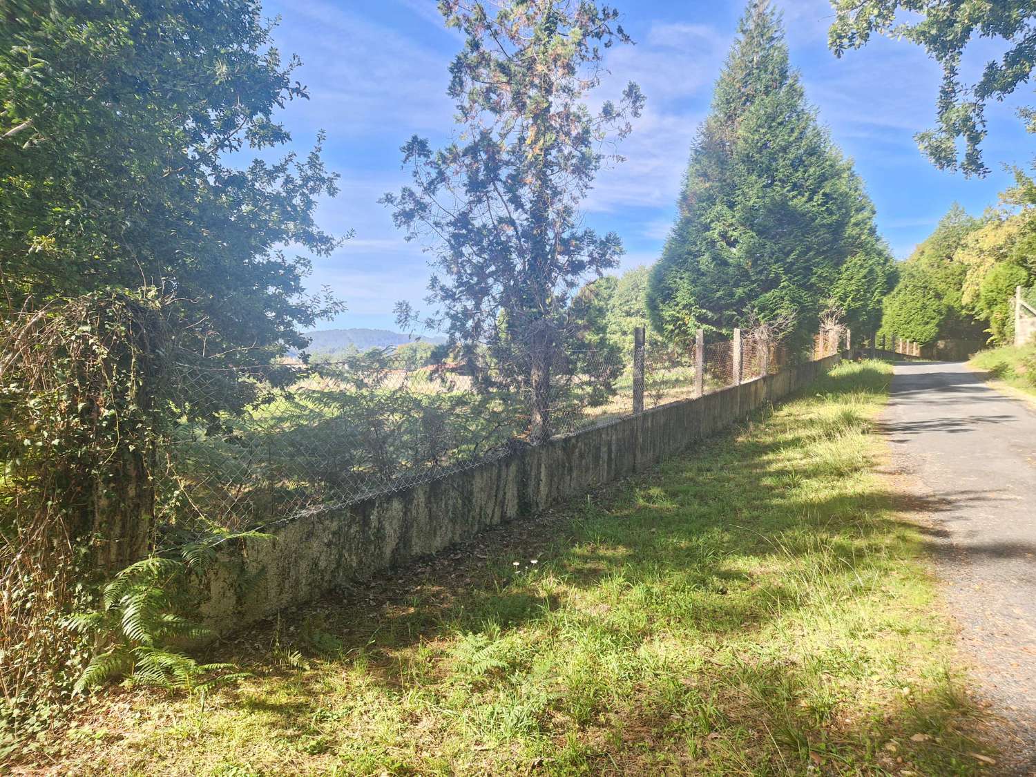 FINCA AMPLIA Y SEGREGABLE EN OS ANXELES, BRION