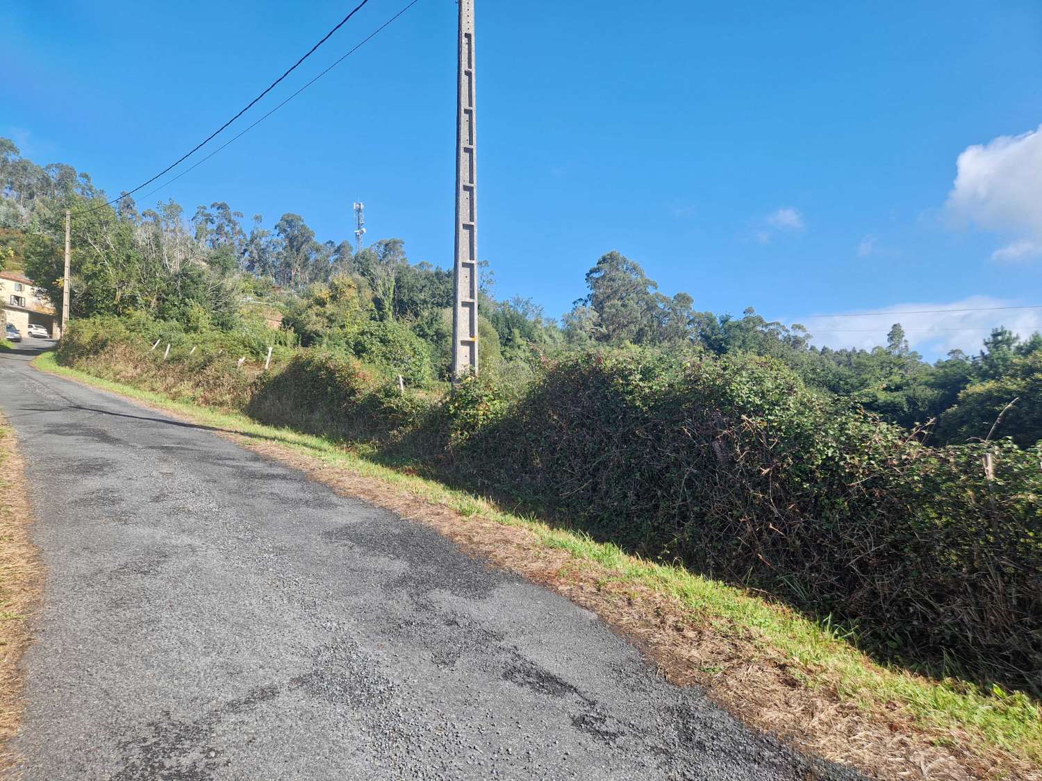 FINCA CON PRECIOSAS VISTAS EN ZONA DE BRION