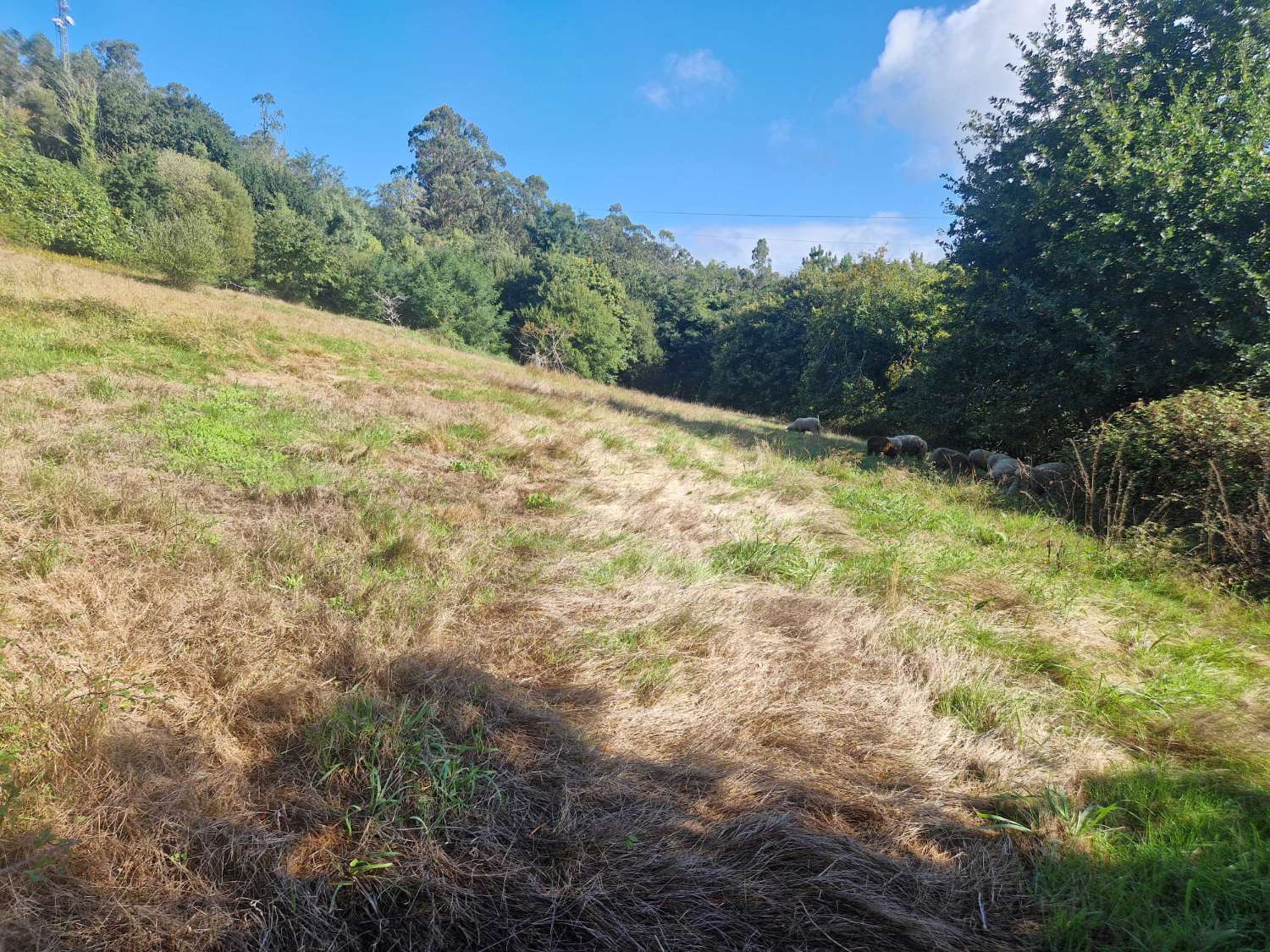 FINCA CON PRECIOSAS VISTAS EN ZONA DE BRION