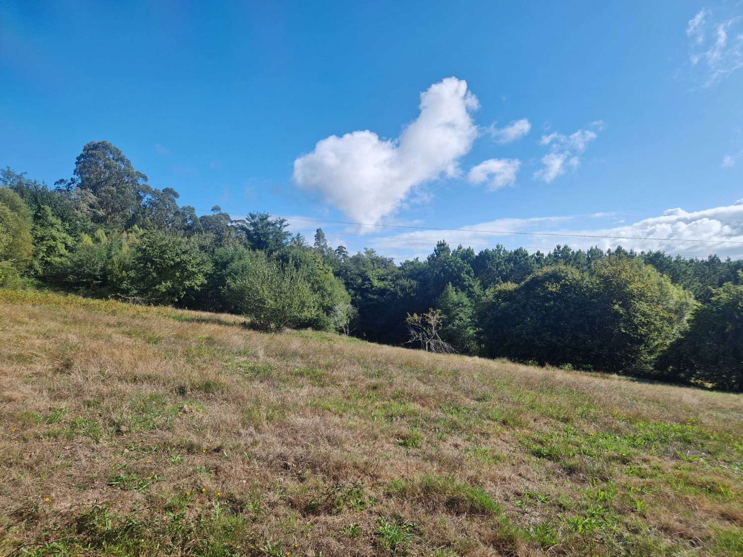 FINCA CON PRECIOSAS VISTAS EN ZONA DE BRION