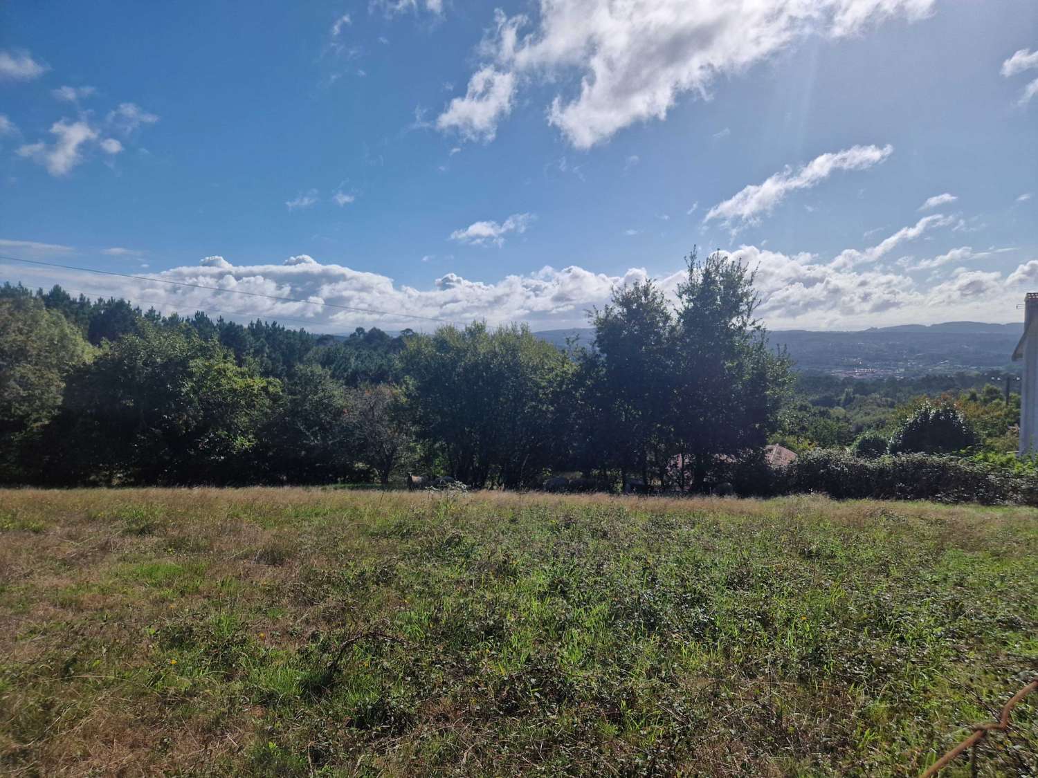 FINCA CON PRECIOSAS VISTAS EN ZONA DE BRION