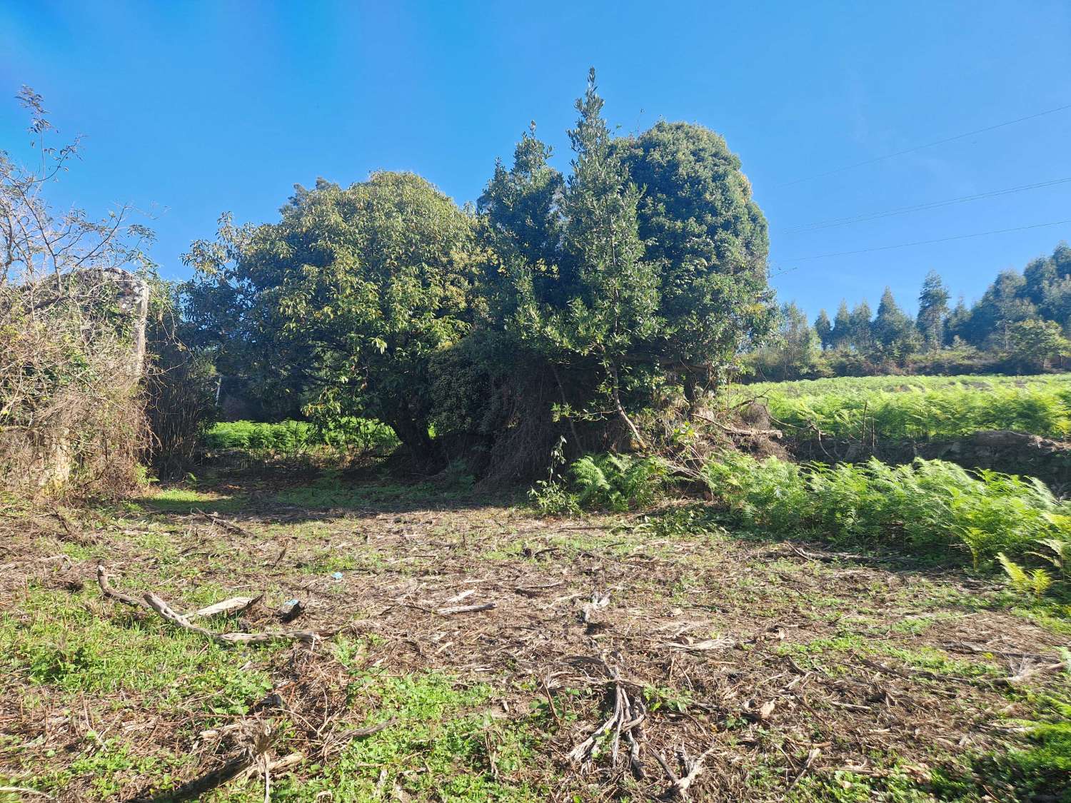 屋 出售 在 Negreira