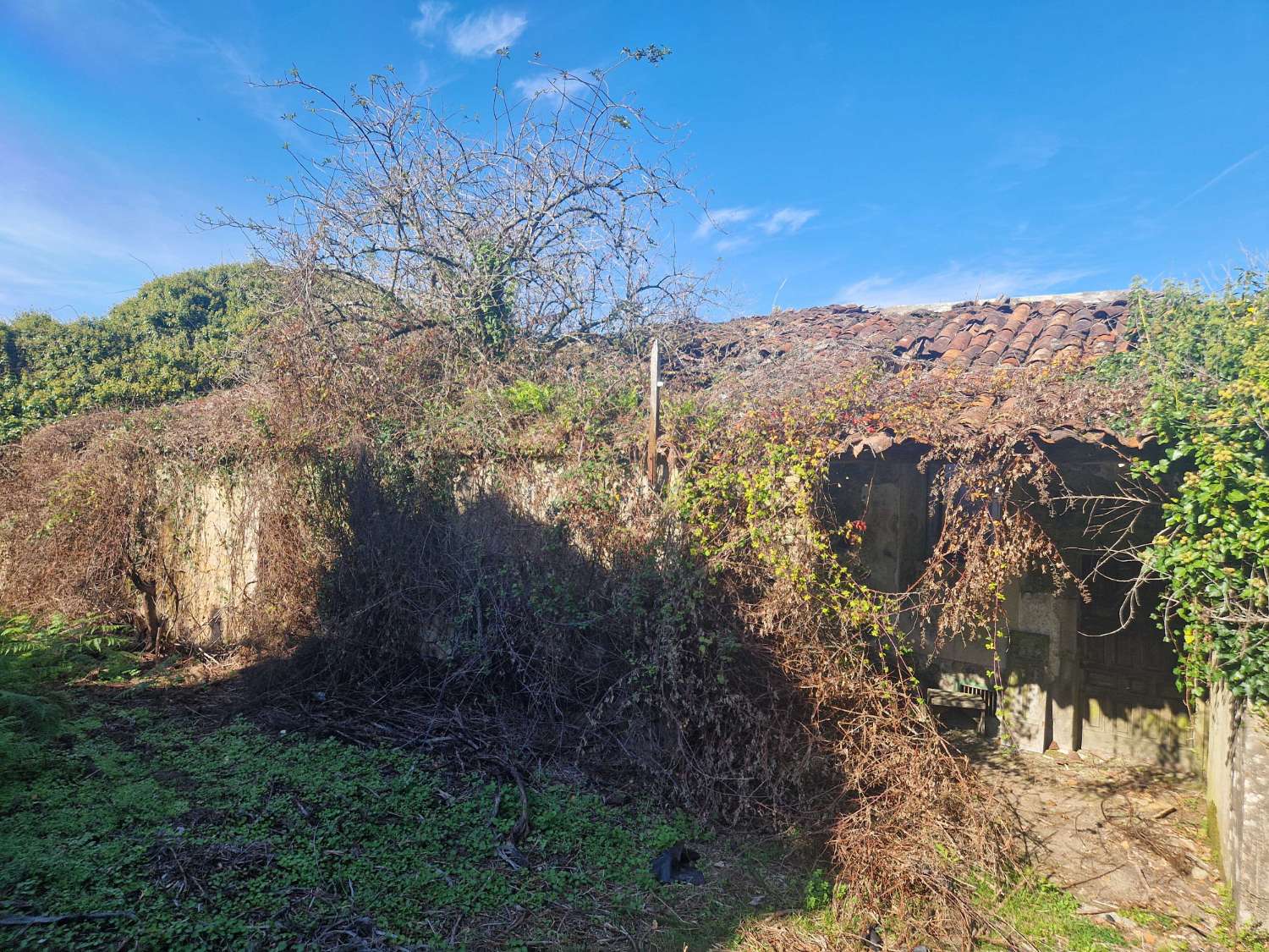 屋 出售 在 Negreira