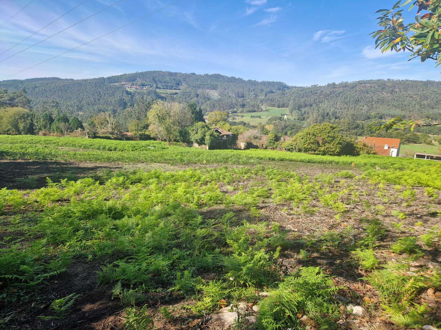 屋 出售 在 Negreira