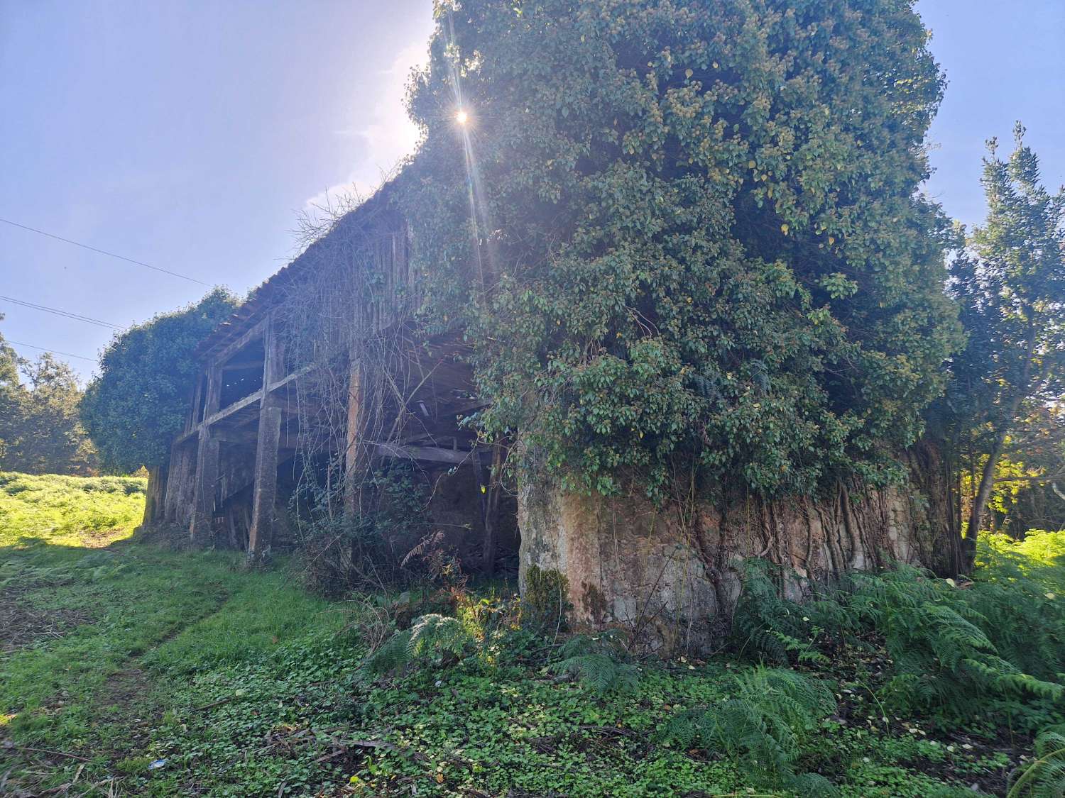 屋 出售 在 Negreira