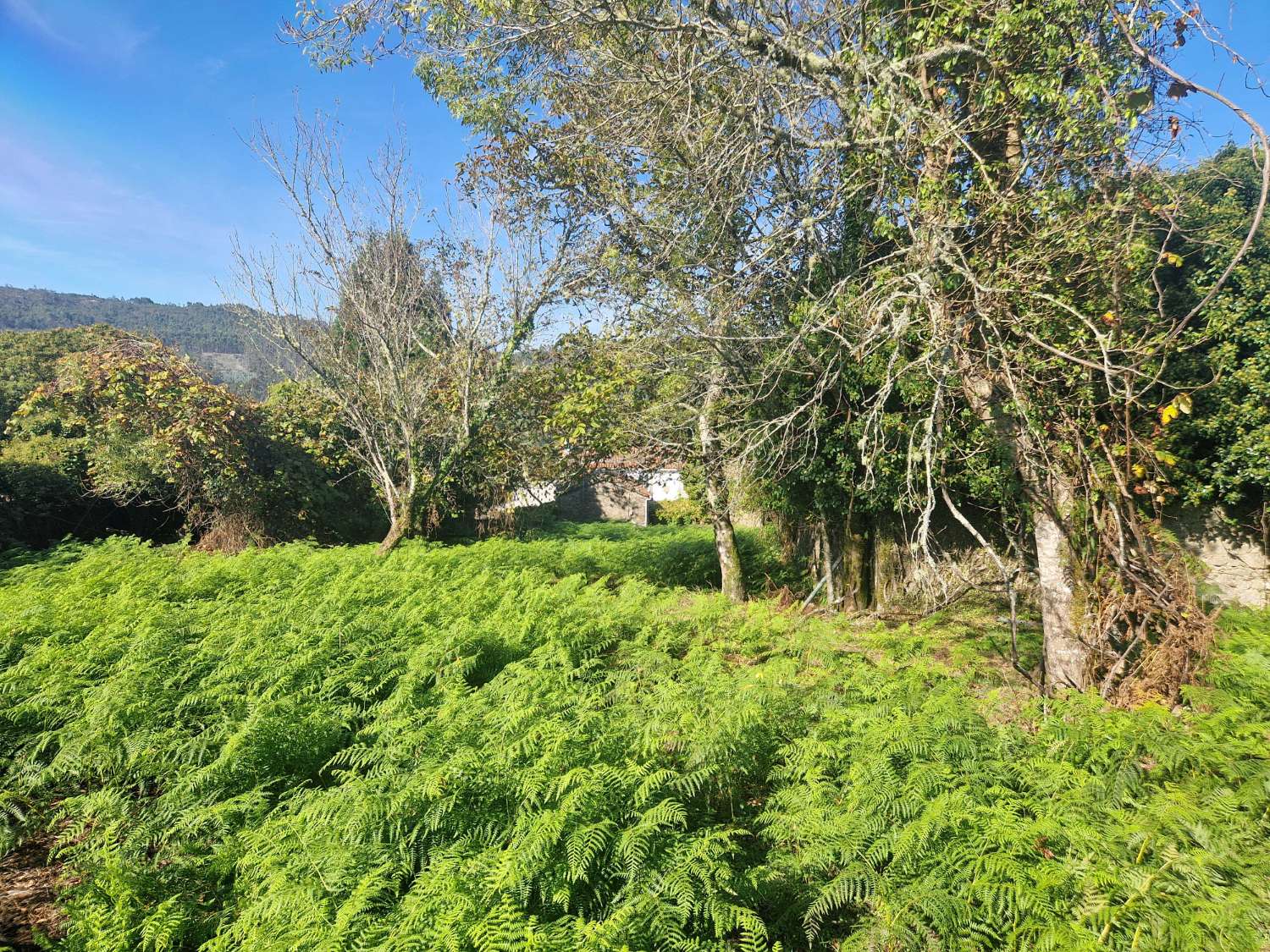 屋 出售 在 Negreira