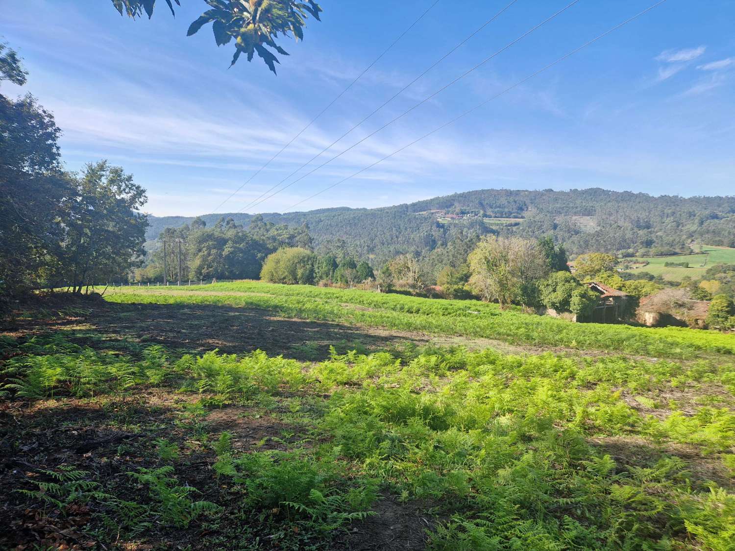 屋 出售 在 Negreira