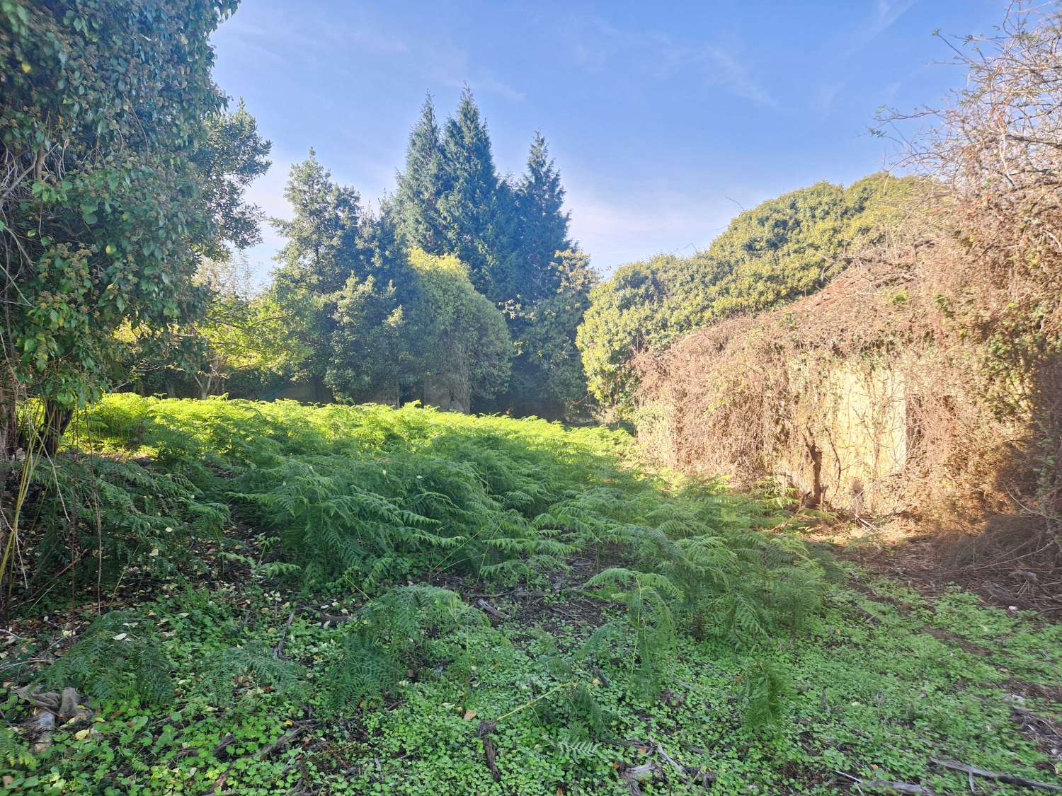 屋 出售 在 Negreira