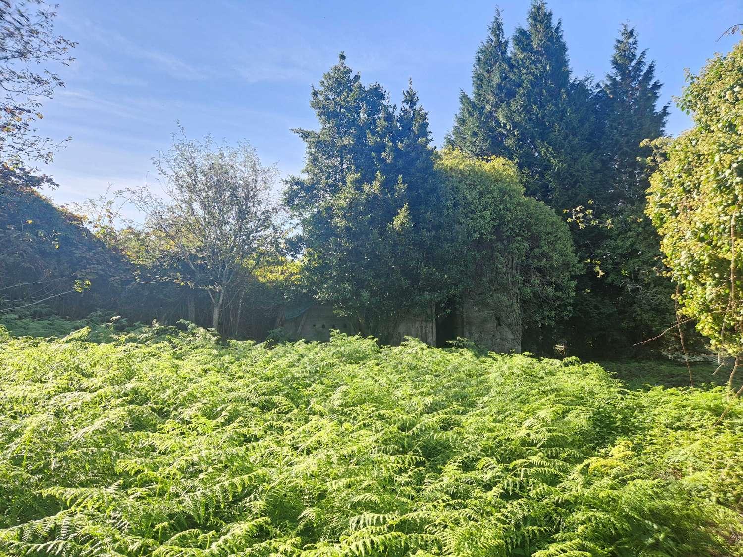 屋 出售 在 Negreira