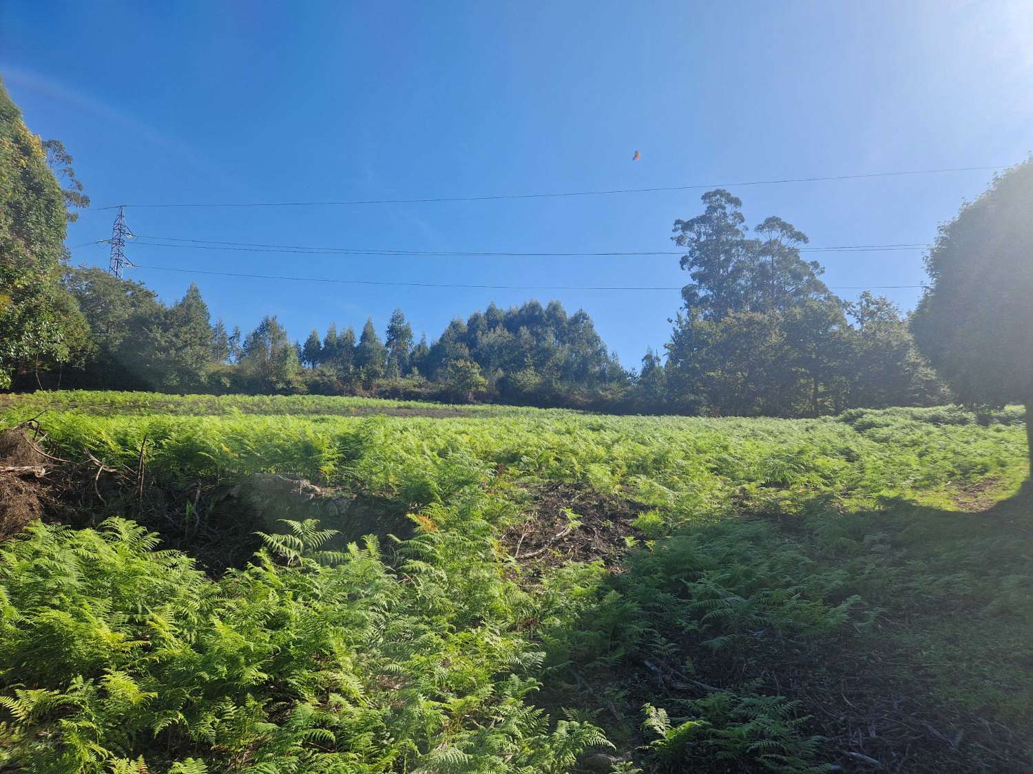 屋 出售 在 Negreira