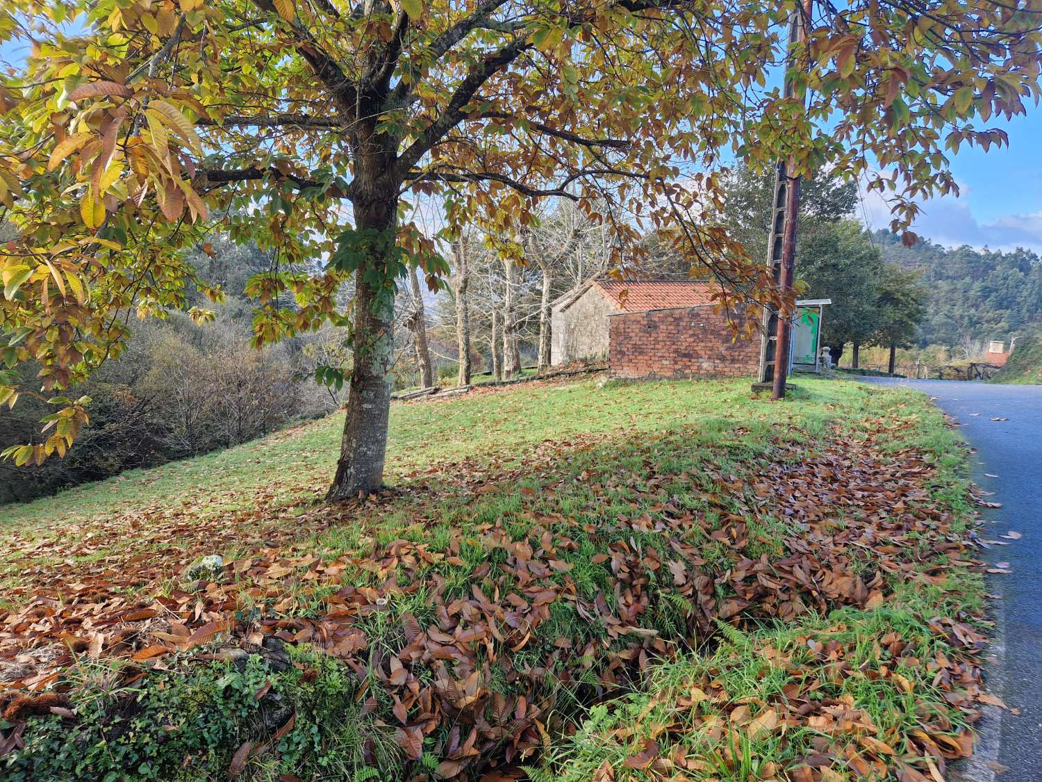 FINCA EN BASCUAS, ZONA TRANQUILA AL LADO DE CALO