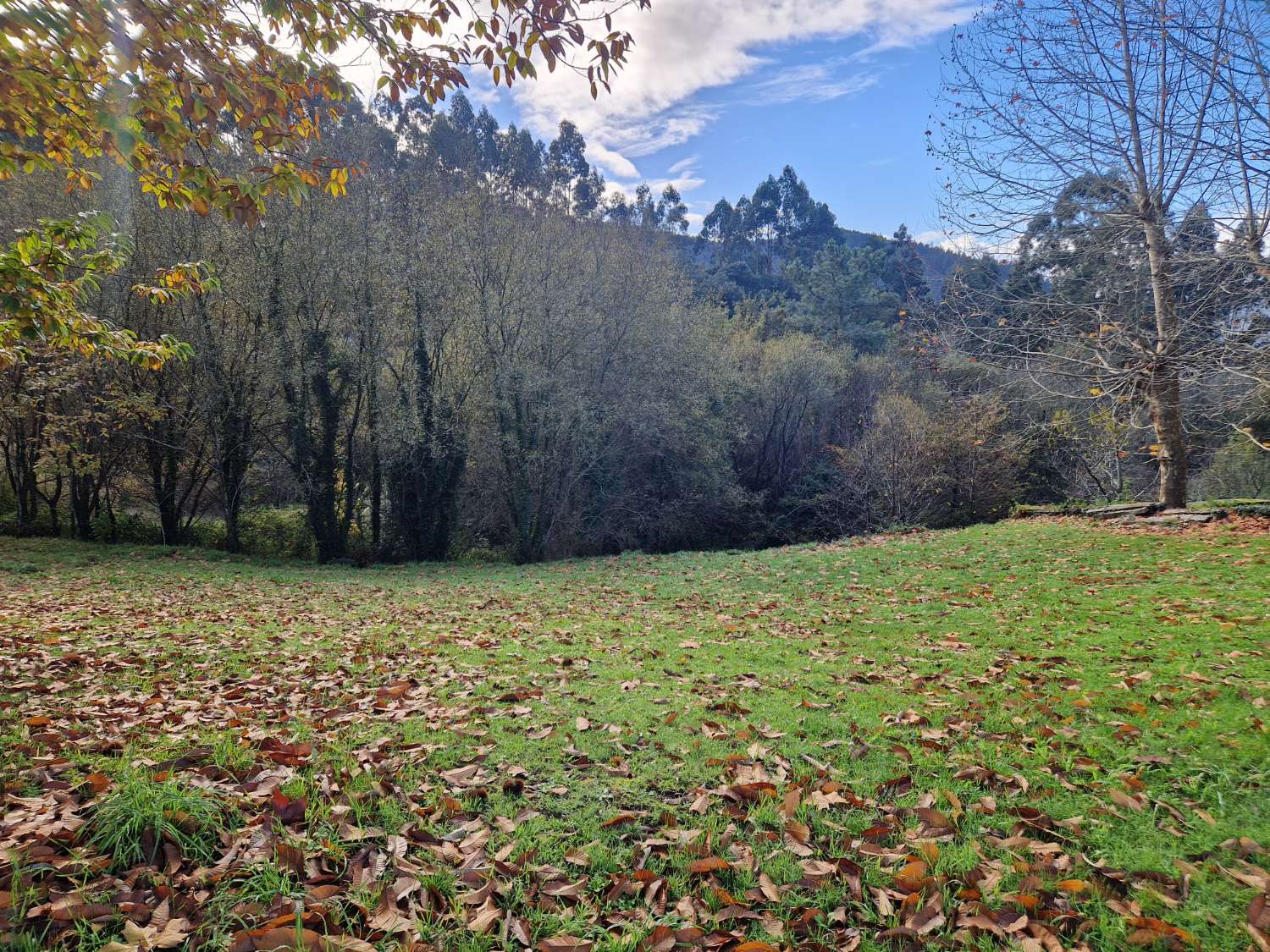 FINCA EN BASCUAS, ZONA TRANQUILA AL LADO DE CALO