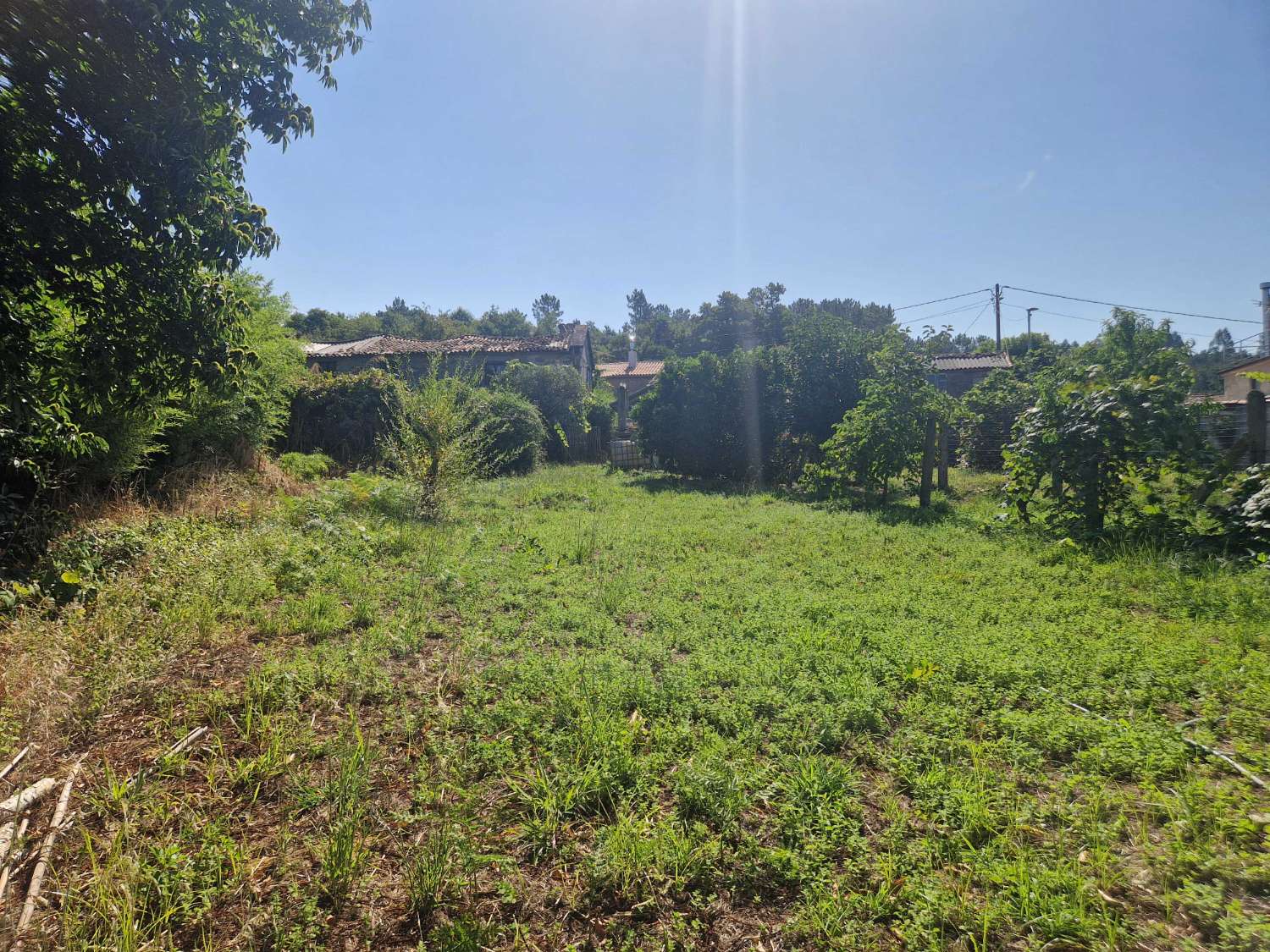 CASA CON TERRENO EN ZONA DE CALO, TEO