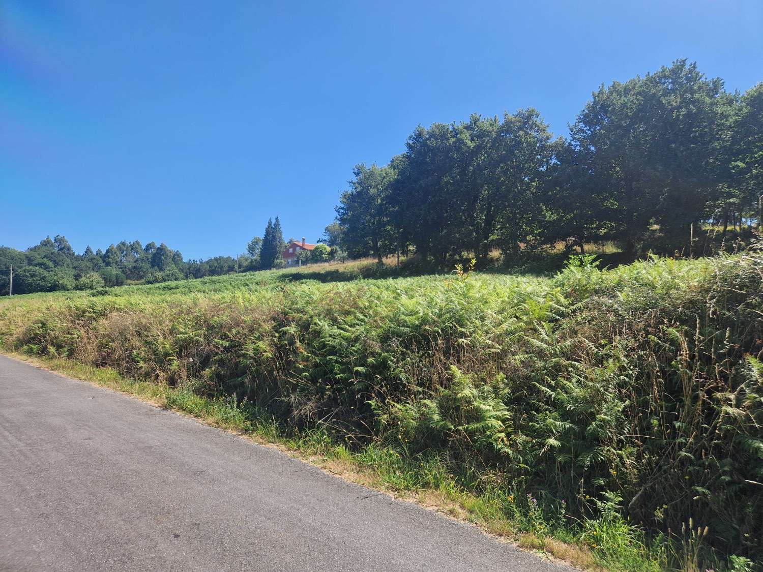 FINCA SEGREGADA EN 2 PARCELAS EDIFICABLES, ZONA NEGREIRA