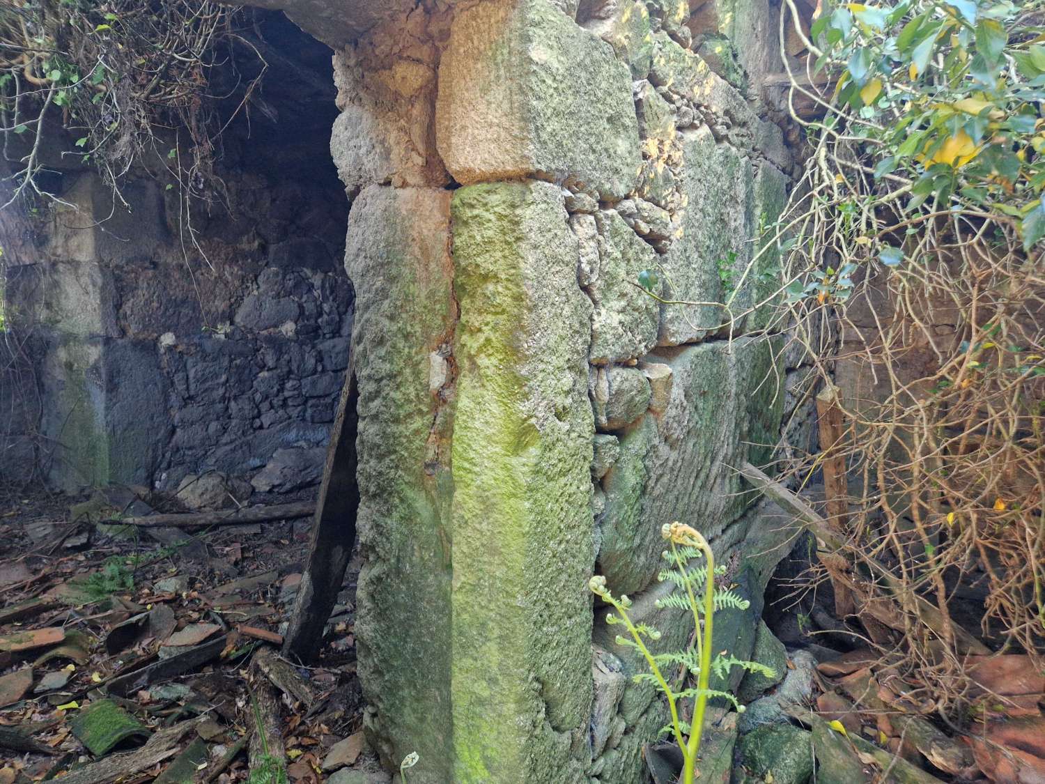FINCA AMPLIA SEGREGABLE CON CONSTRUCCIONES RUINOSAS ZONA CORNEIRA, A BAÑA