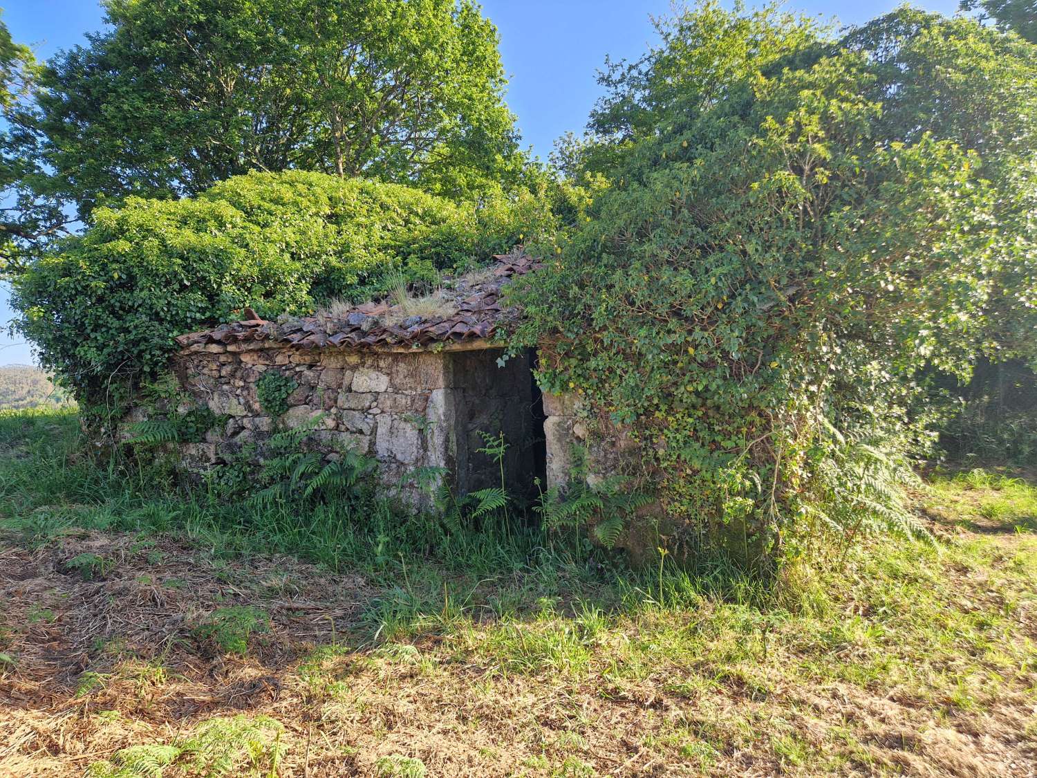 FINCA AMPLIA SEGREGABLE CON CONSTRUCCIONES RUINOSAS ZONA CORNEIRA, A BAÑA