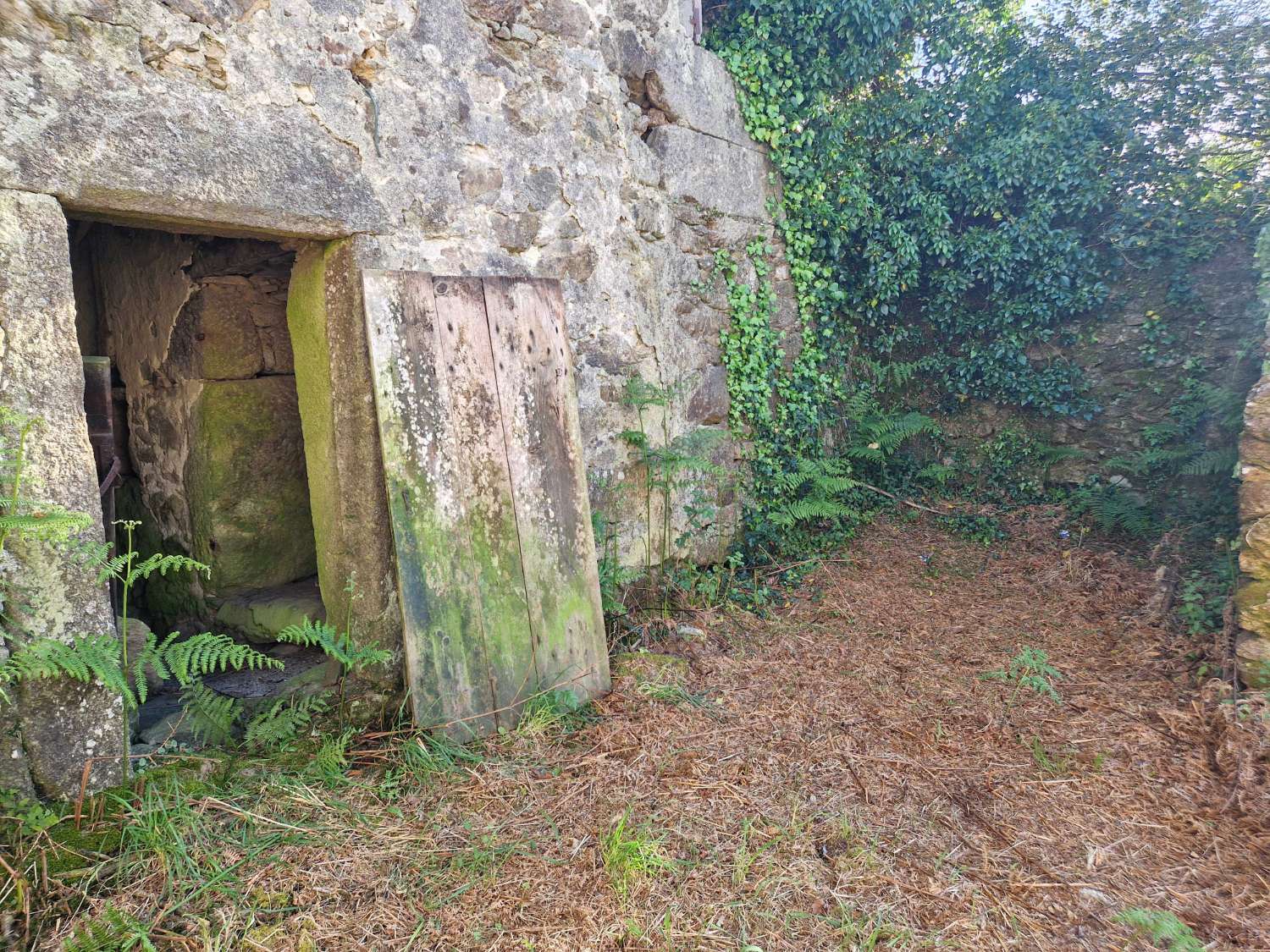 FINCA AMPLIA SEGREGABLE CON CONSTRUCCIONES RUINOSAS ZONA CORNEIRA, A BAÑA