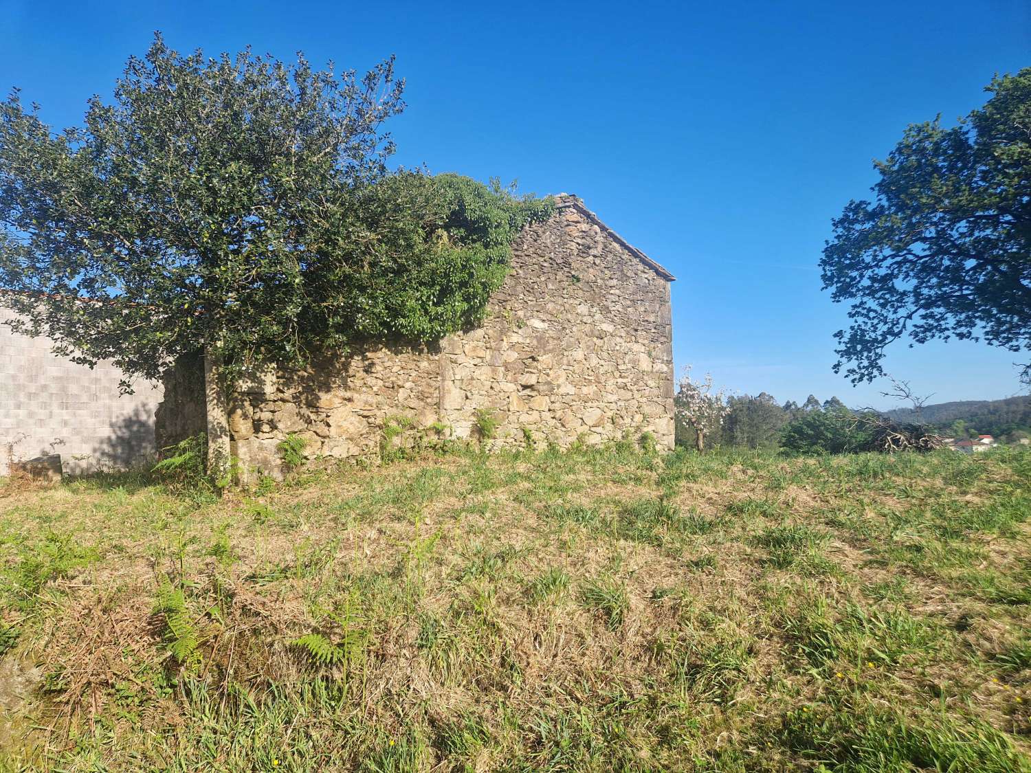 FINCA AMPLIA SEGREGABLE CON CONSTRUCCIONES RUINOSAS ZONA CORNEIRA, A BAÑA